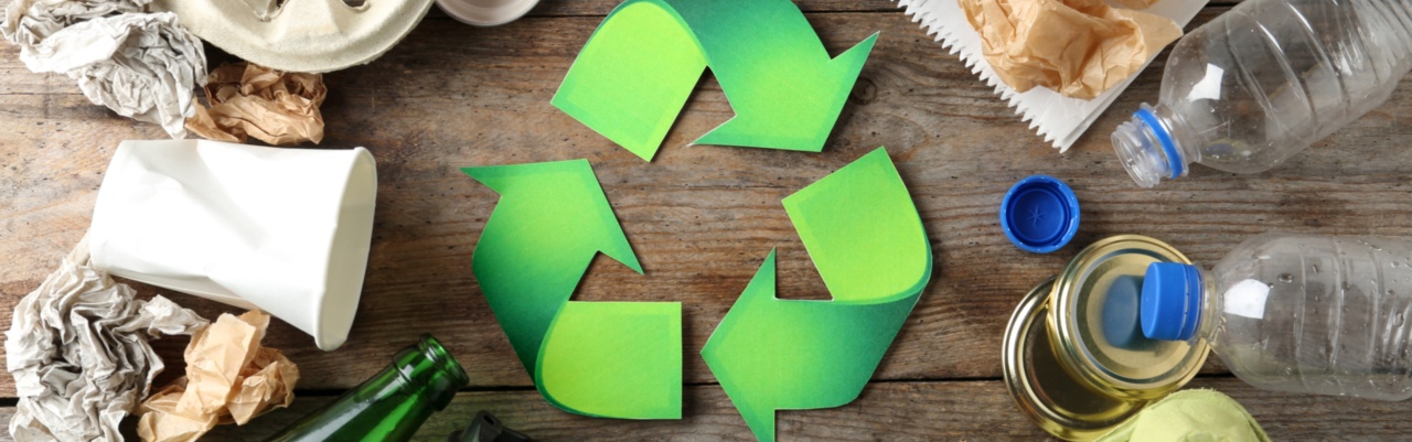 APSE Waste and Recycling Seminar 2025
