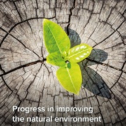 Delivering the Environmental Improvement Plan