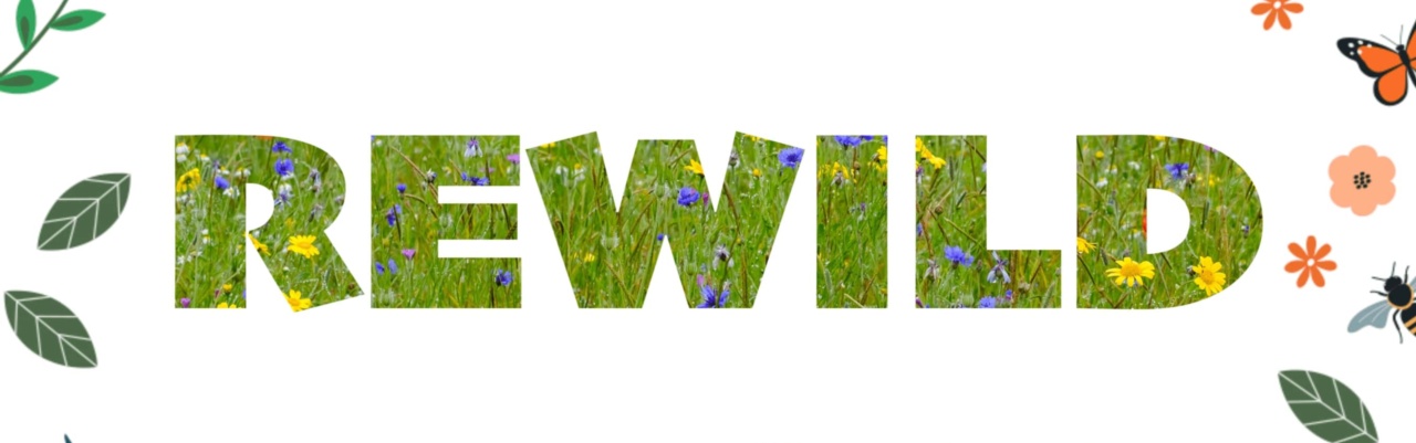 The Really Rewild Show