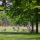 LGR: Making it Work in Parks