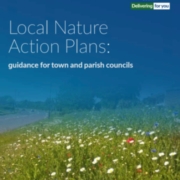 Helping town and parish councils identify opportunities for nature