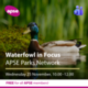 Waterfowl in Focus – Free for members!