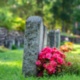 Policies for managing cemeteries - APSE Roundtable