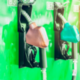 Newry, Mourne and Downe District Council transitions fleet from diesel to biofuel