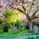 APSE Cemeteries and Crematoria Seminar 2019