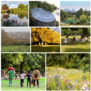 Ensuring legacy and demonstrating the value of parks