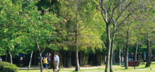 Park Life, Street Life: Managing demand in the public realm