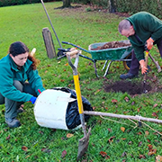 Coed Caerdydd – Cardiff's urban forest programme