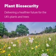 Plant Biosecurity: The role of local councils in delivering a healthier future for the UK's plants and trees