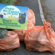 Developing an effective litter strategy