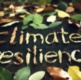 Climate Change Network: Urban Trees and Climate Resilience - 20 February 2026