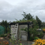 Image 2: Living Roof Merrylee Allotments