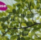 Talking Trees: APSE Parks Network Online Meeting - Wednesday 26 November