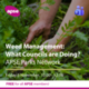 Weed Management: What councils are doing? – Free for members!