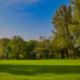 APSE (Southern Region) Green Spaces Network: Protecting Our Green Spaces: Sustainable Pest Management and Climate Adaptation