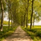 Swansea Central Area: Regenerating our City for Wellbeing and Wildlife
