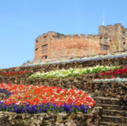 APSE Central Region Event - Trees and Automobiles: A Greenspace and Highways forum