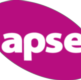 Director APSE Synergy